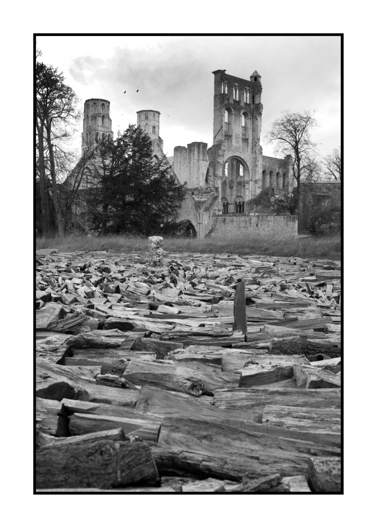 _IGP5922-2 2500px.jpg