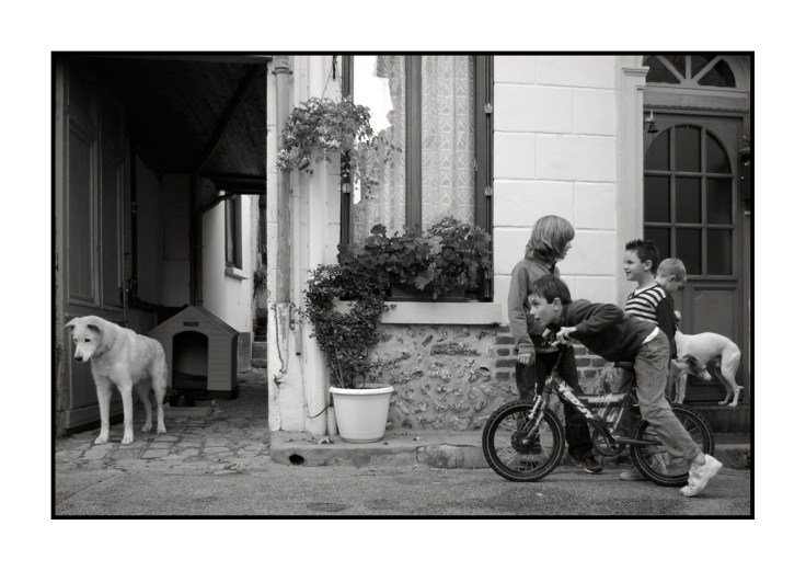 Regards multiples pour la maison bleue 2000px.jpg