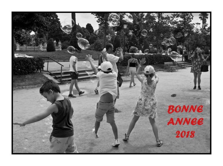 IMGP3703-3 1800px.jpg