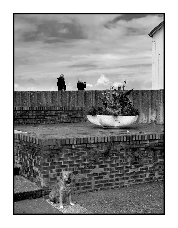 IMGP7535 v2 2500px.jpg