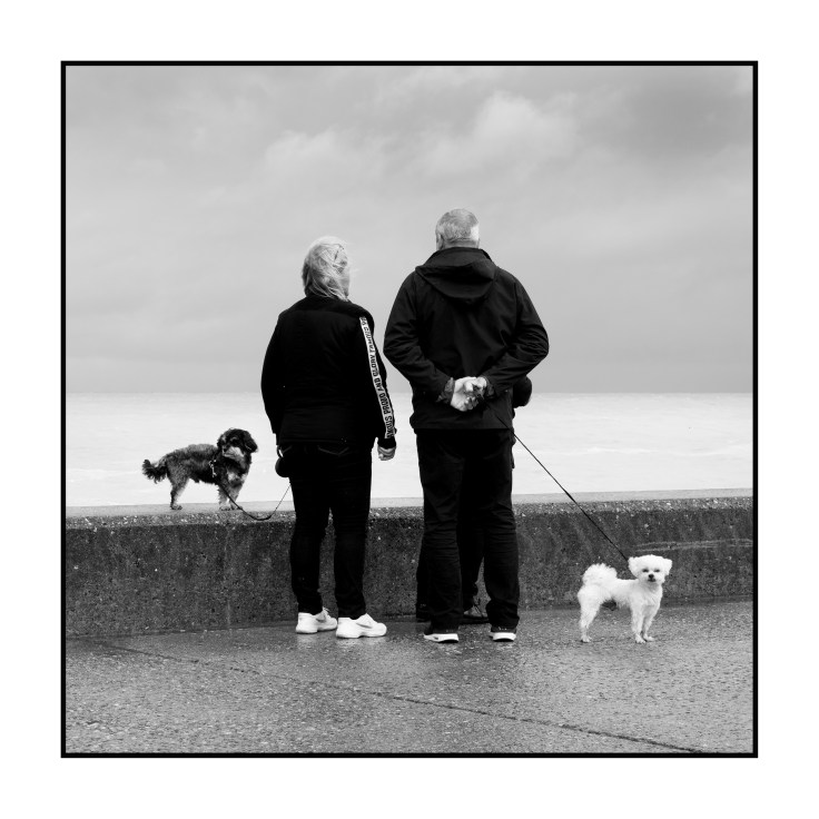 IMGP7549 v3 2800px.jpg